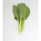 Sayuran Segar Pakcoy green 1 Kg 1