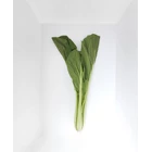 Sayuran Segar Caisim 1 Kg 1